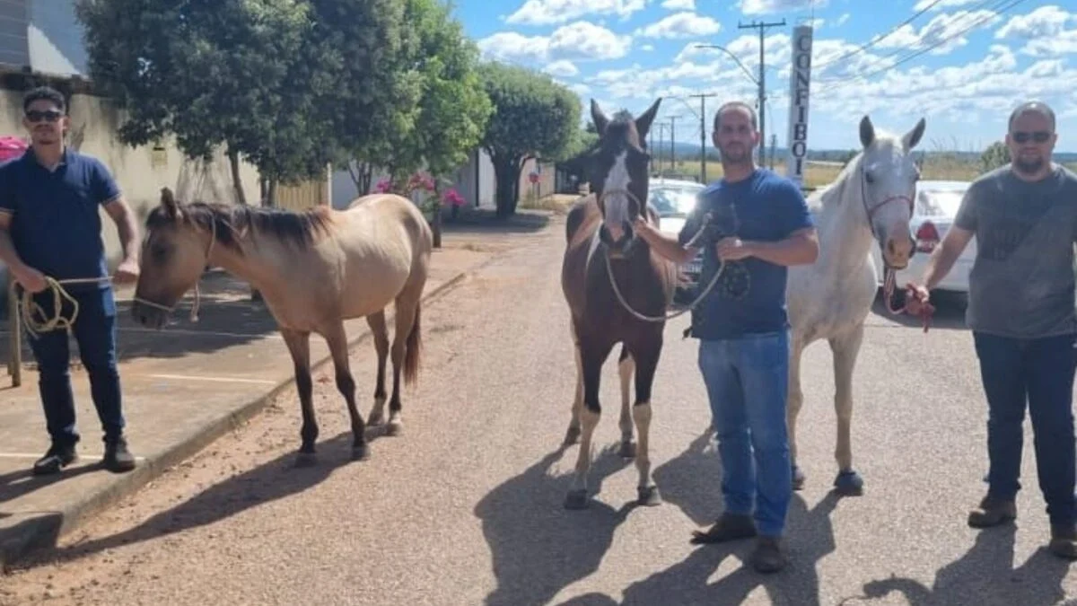 Adolescentes de 14 e 15 anos são apreendidos por furto de cavalos em Porangatu.