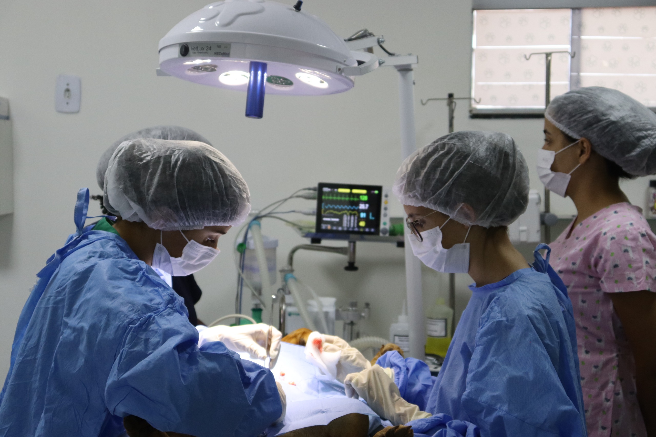 Prefeitura de Senador Canedo realiza 100 castrações em junho com abertura do programa à população