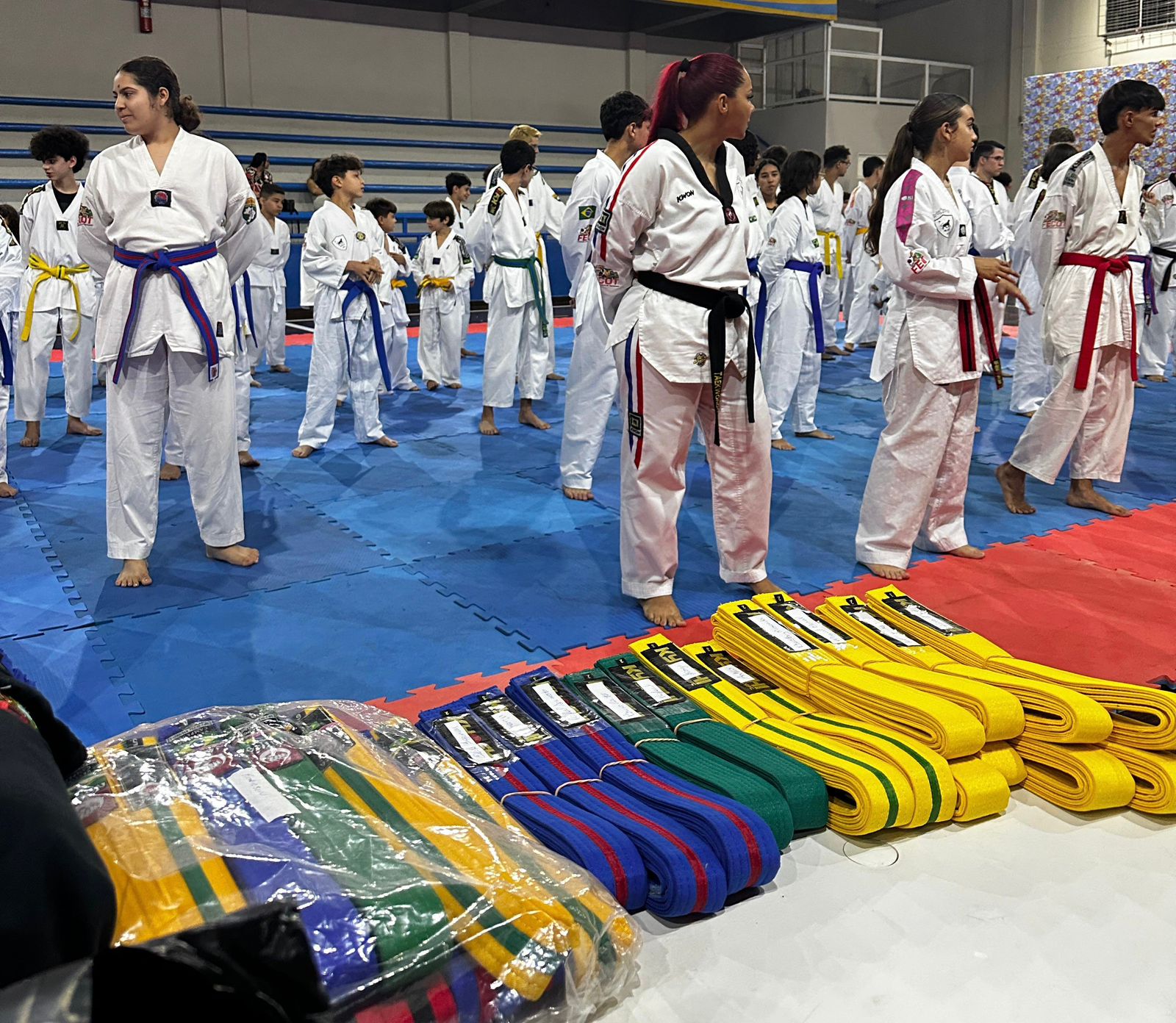 Senador Canedo apoia preparação da Seleção Goiana de Taekwondo para o Campeonato Centro-Oeste