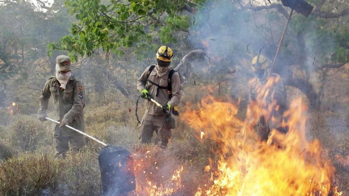 Goiás registra queda de 34% nos focos de queimada em 2025O