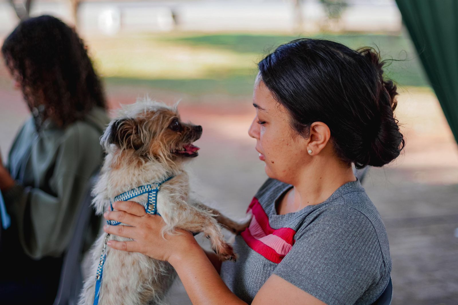 Educa Pet 2025 leva cuidados e aprendizado a animais e famílias em Senador Canedo