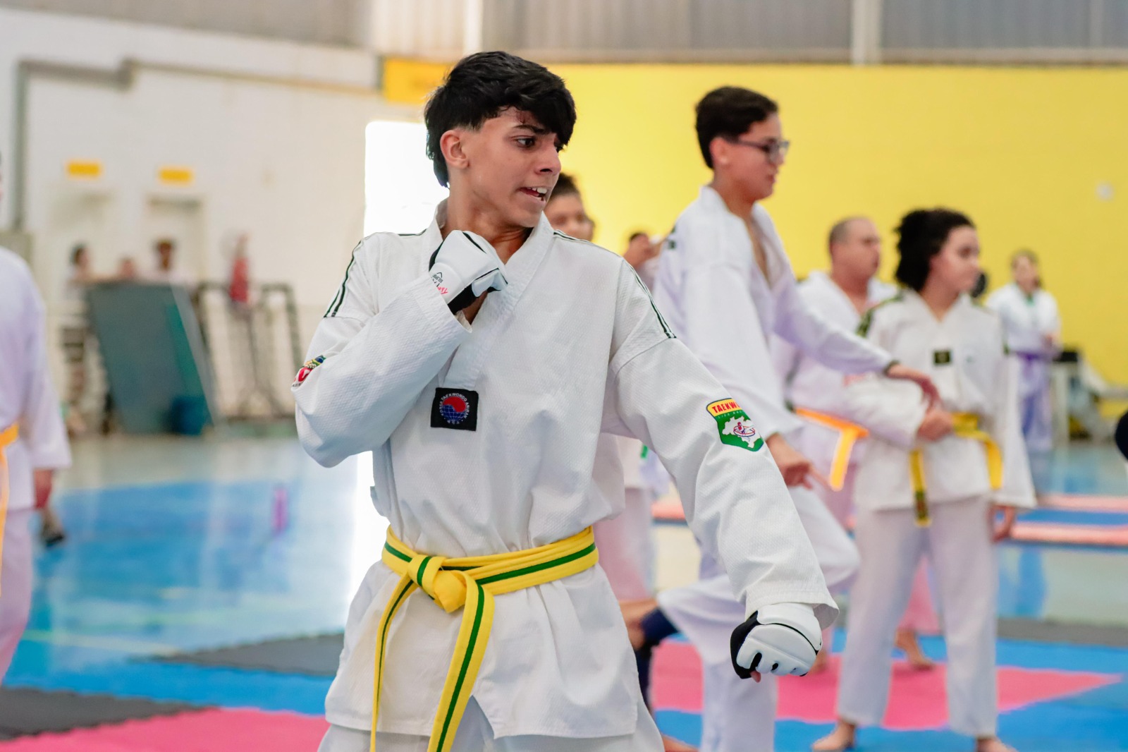 Senador Canedo sedia Campeonato Centro-Oeste de Taekwondo no dia 7 de setembro