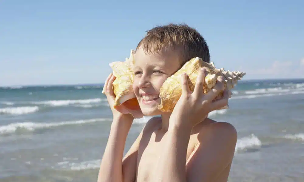 O som do mar dentro da concha é real? A explicação científica por trás desse fenômeno curioso