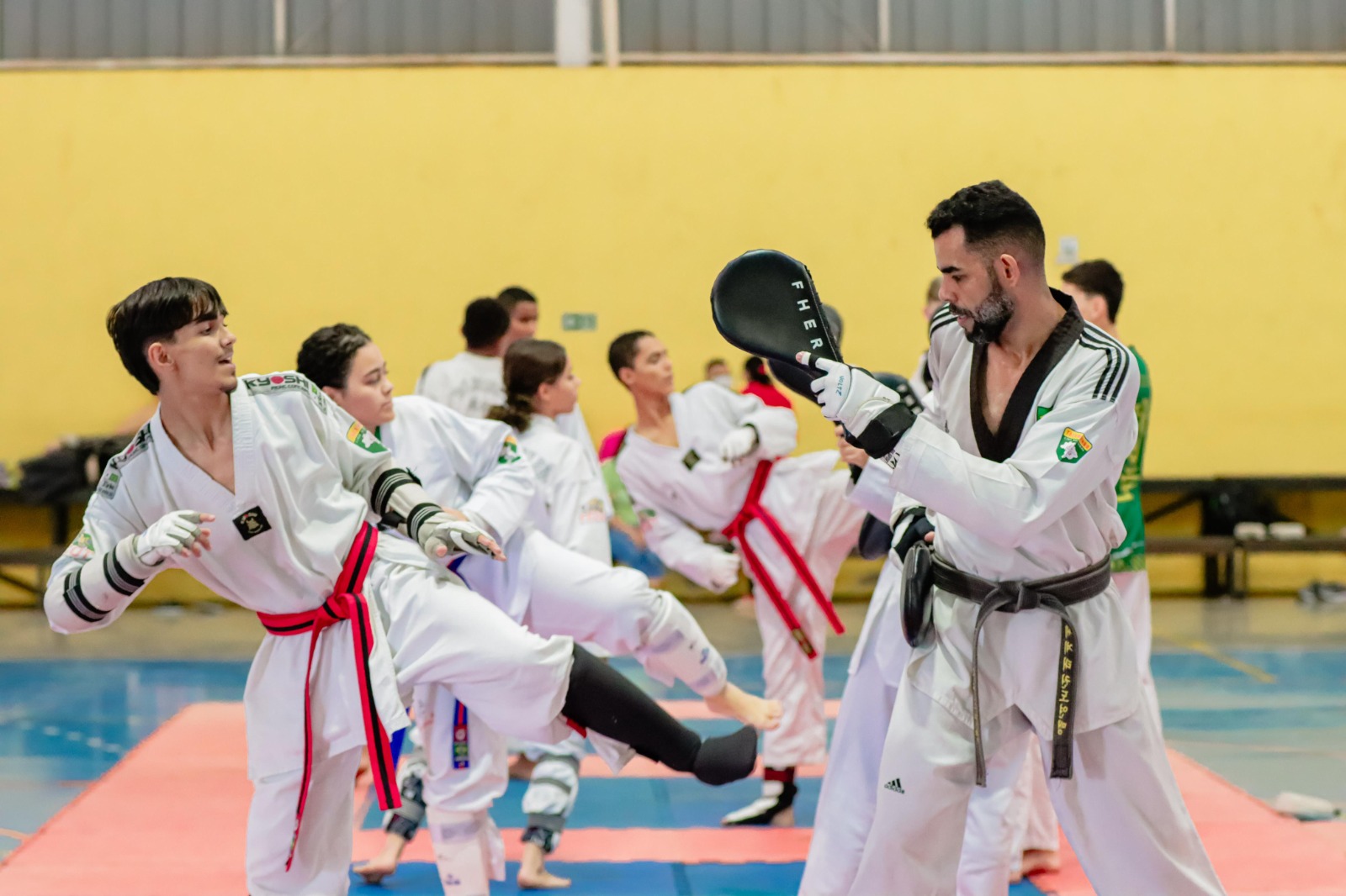 Senador Canedo sedia pela primeira vez o Campeonato Centro-Oeste de Taekwondo