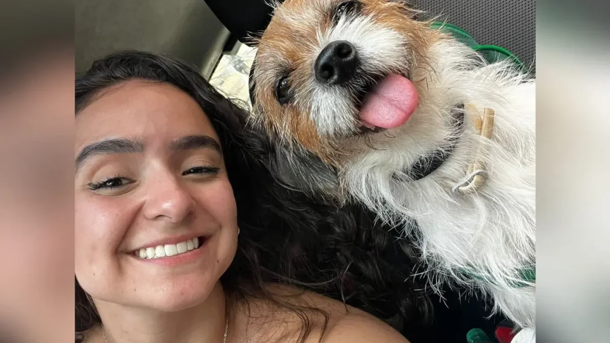 Justiça fixa multa de R$ 500 em caso de cadela morta após ataque de chow chow em Goiânia