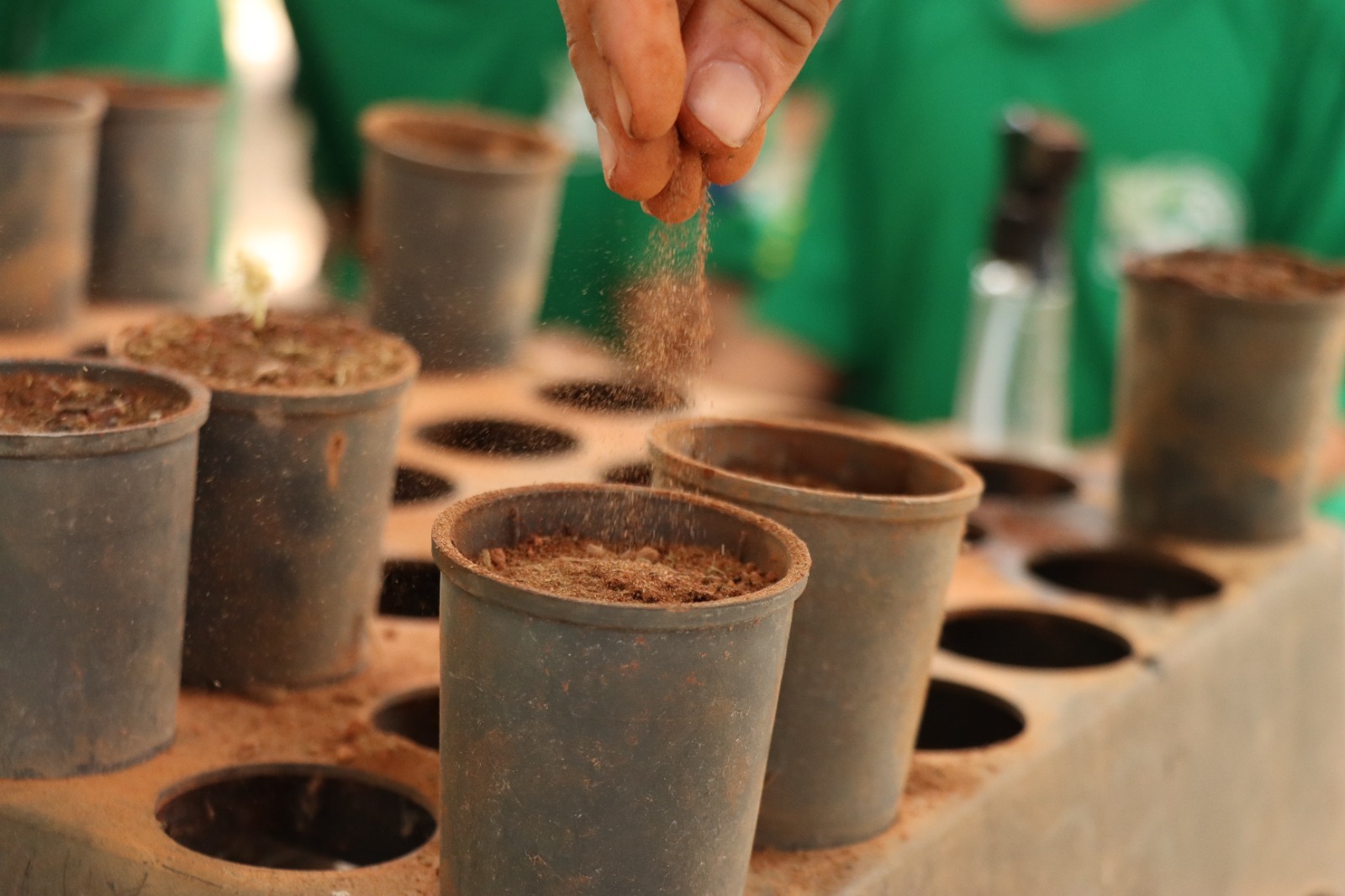 AMMA de Senador Canedo mobiliza população para plantio participativo de árvores nativas