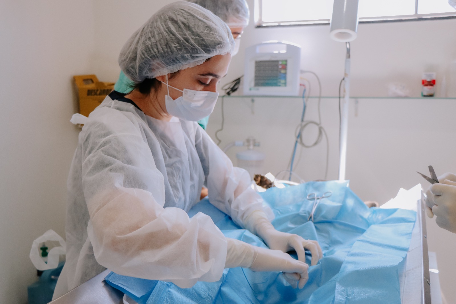 Senador Canedo alcança marca de 500 animais castrados nos primeiros três meses de 2026