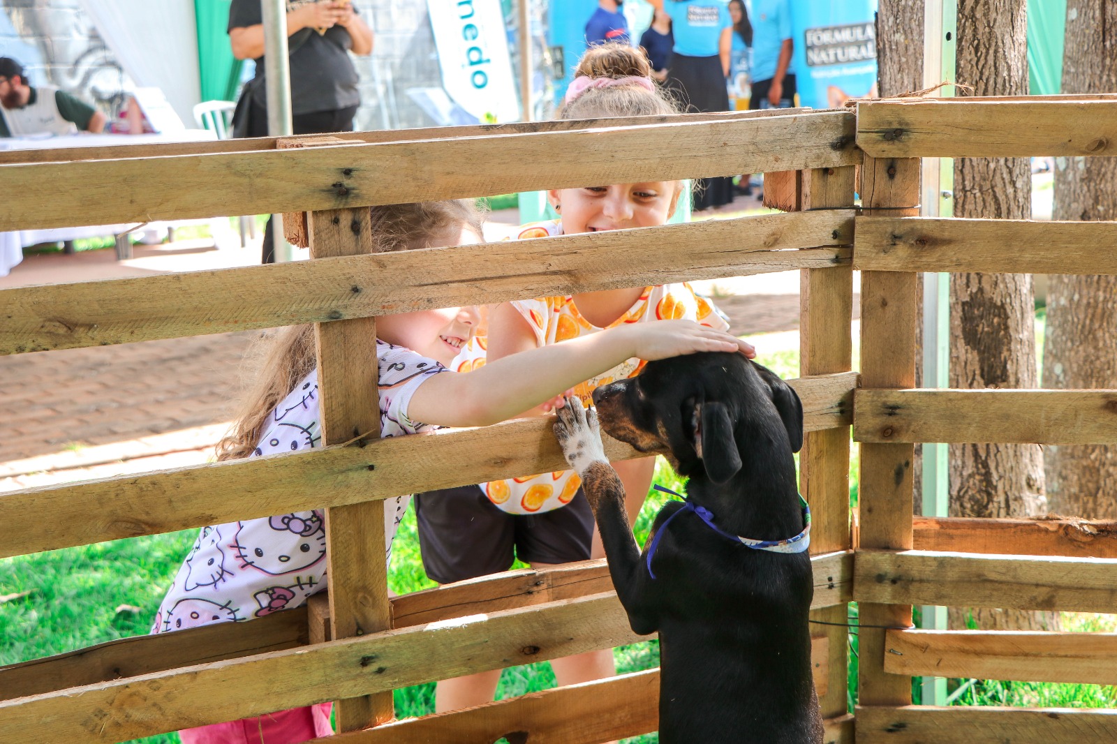 Adote leva ben-esrar animal ao Parque São Francisco neste domingo (26)