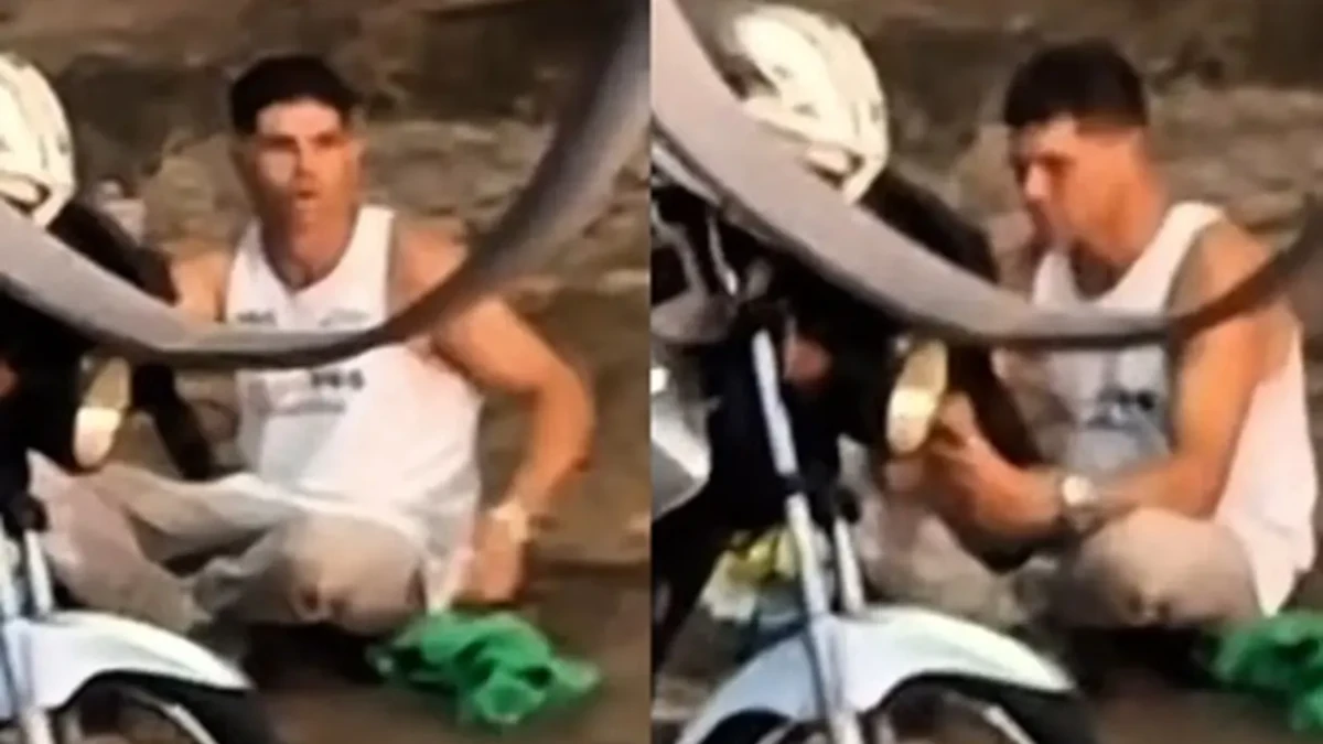 Imagem: Reprodução