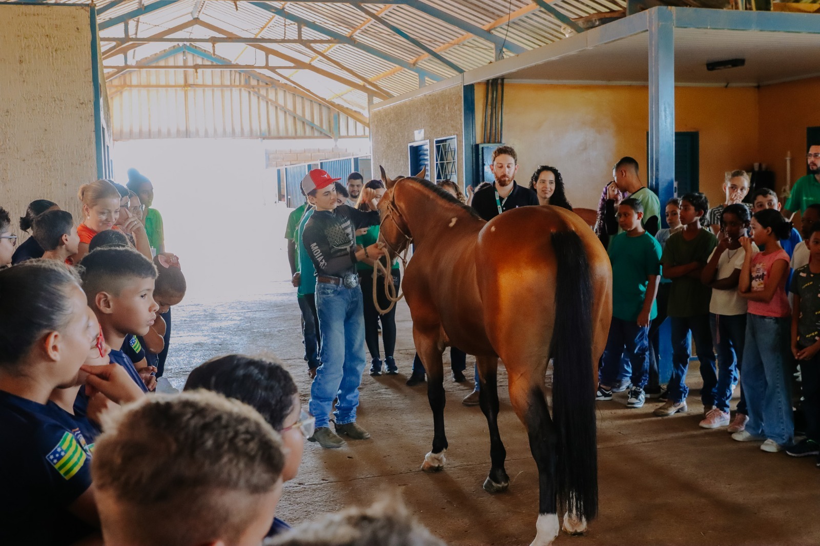 Guardiões Ambientais e Guardas Mirins participam de visita educativa em haras