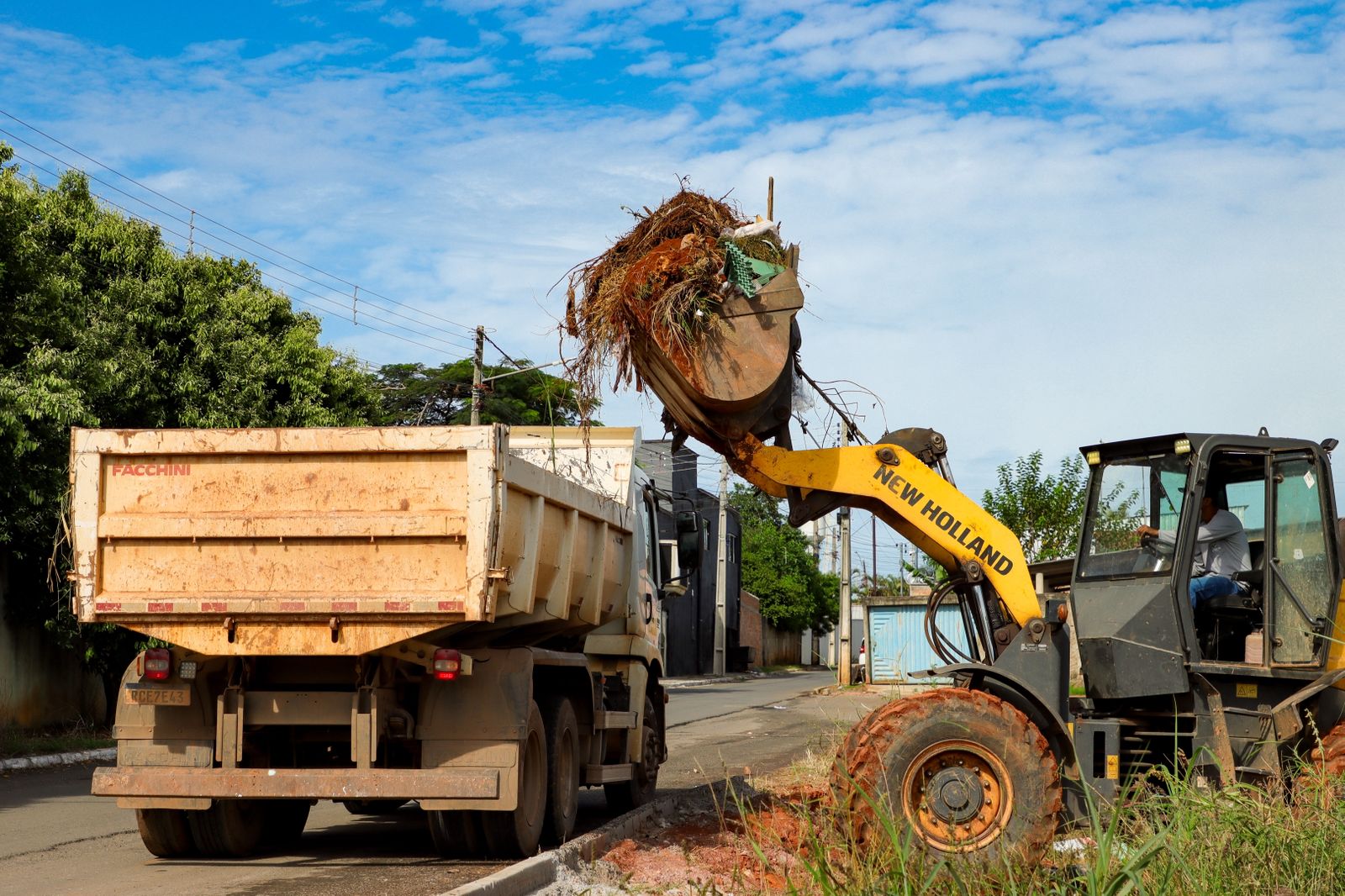 Prefeitura recolhe cerca de 16 toneladas de galhadas por dia
